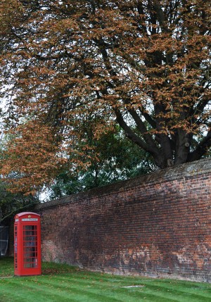 Telephone Box